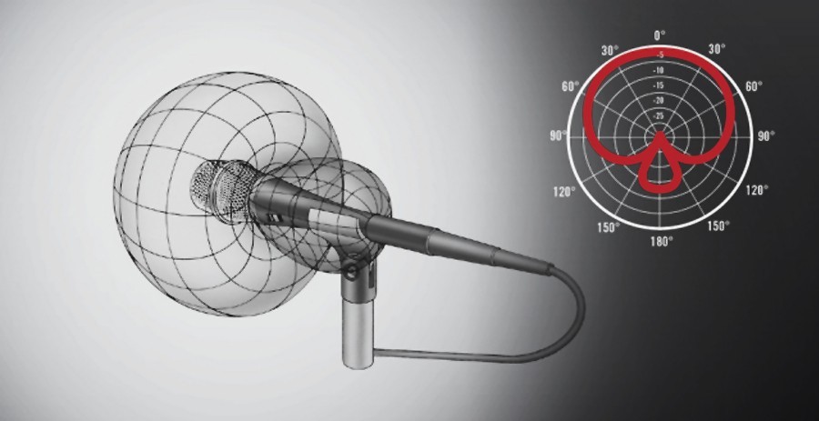 Supernierencharakteristik